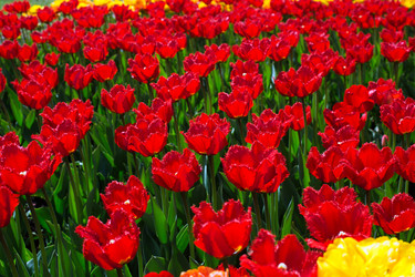 Similar image 21678078