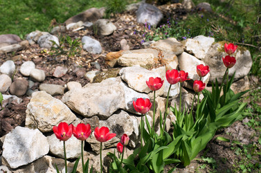 Similar image 21677676