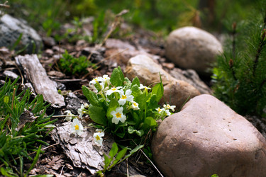 Similar image 21678079