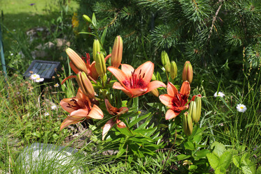 Similar image 21678082