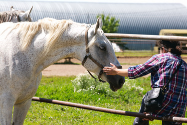 Similar image 21678084