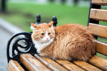 Similar image 21678092