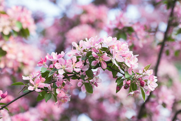 Similar image 21678192