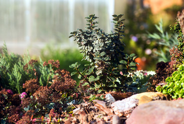 Similar image 21678193