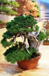 Similar image 21678196