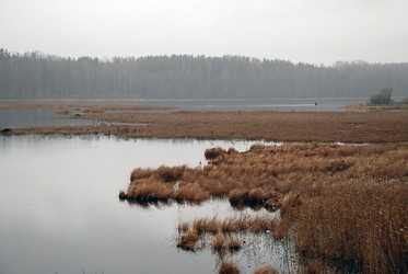 Similar image 21677920