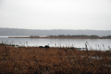 Similar image 21677941