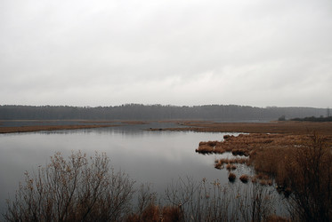 Similar image 21677945