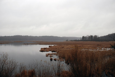 Similar image 21677946