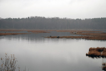 Similar image 21677947