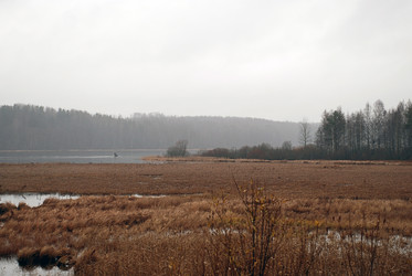 Similar image 21677948