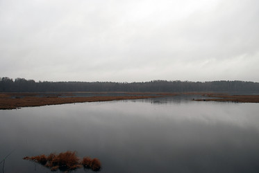 Similar image 21677949