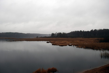 Similar image 21677950