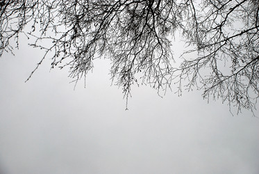 Similar image 21677956