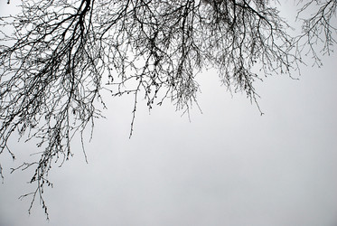 Similar image 21677972