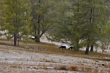 Similar image 21677680