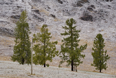 Similar image 21677682