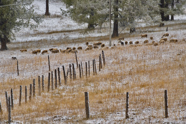 Similar image 21677689