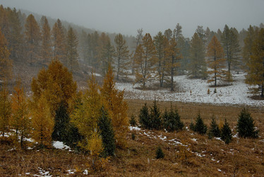 Similar image 21677690