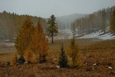 Similar image 21677691