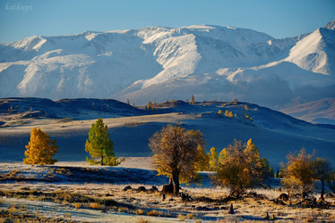 Similar image 21677693