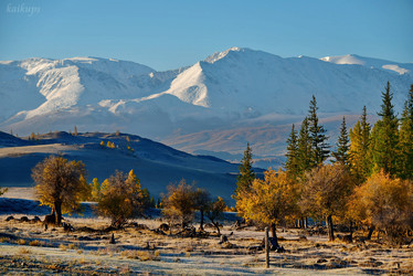 Similar image 21677694