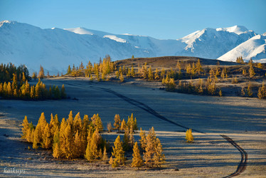 Similar image 21677695