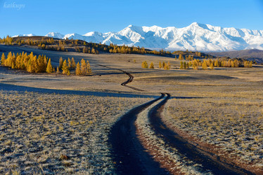 Similar image 21677697