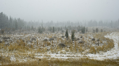 Similar image 21677698