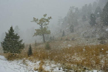 Similar image 21677699