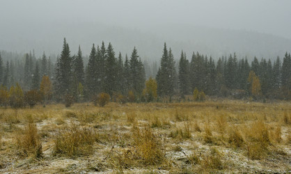 Similar image 21677700