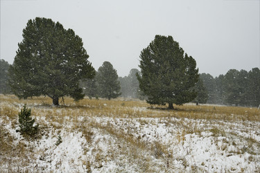 Similar image 21677701