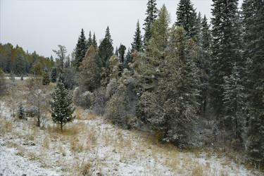 Similar image 21677702