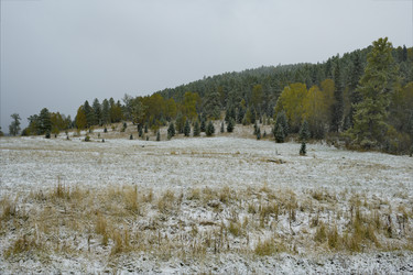 Similar image 21677703