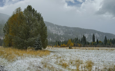 Similar image 21677704