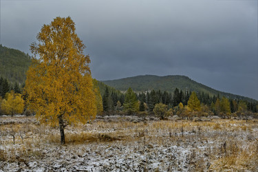 Similar image 21677706