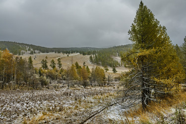 Similar image 21677707