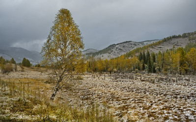 Similar image 21677708