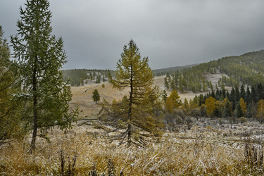 Similar image 21677709