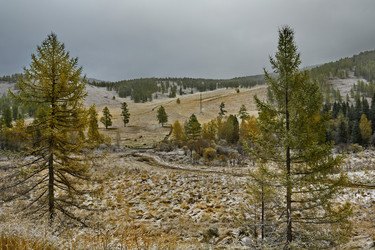 Similar image 21677710