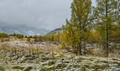 Similar image 21677711