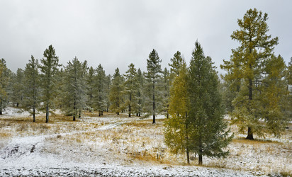 Similar image 21677712