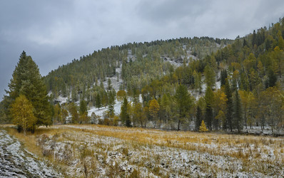 Similar image 21677713