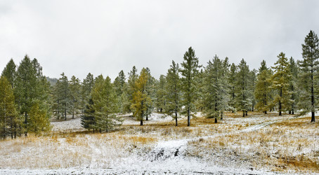 Similar image 21677715