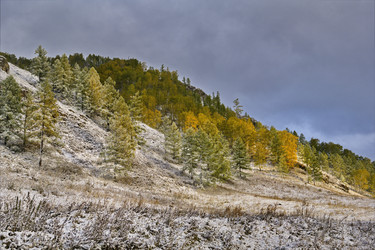 Similar image 21677718