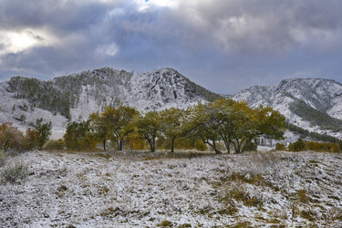 Similar image 21677719