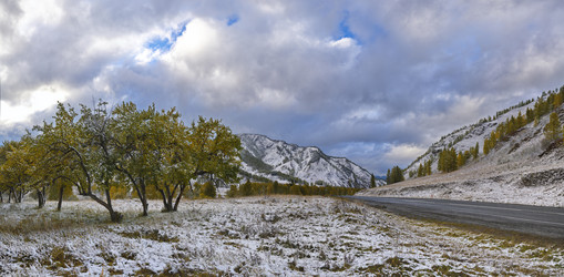 Similar image 21677721