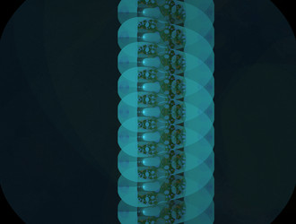 Similar image 21680948