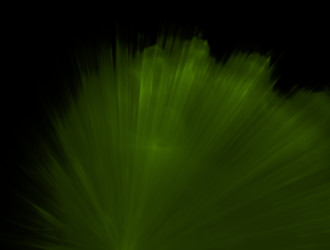 Similar image 21680996