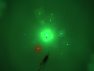 Similar image 21681001